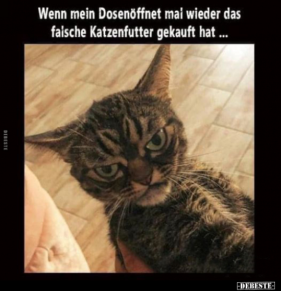 Wenn mein Dosenöffnet mal wieder das faische Katzenfutter.. - Lustige Bilder | DEBESTE.de