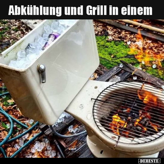 Abkühlung und Grill in einem.. - Lustige Bilder | DEBESTE.de