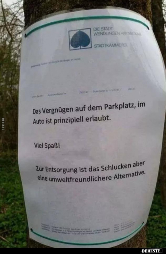 Das Vergnügen auf dem Parkplatz, im Auto ist prinzipiell erlaubt. - Lustige Bilder | DEBESTE.de