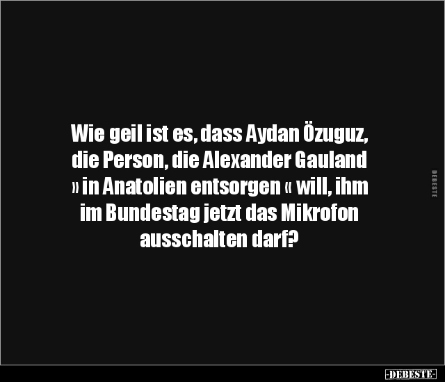 Wie geil ist es, dass Aydan Özuguz, die Person, die.. - Lustige Bilder | DEBESTE.de