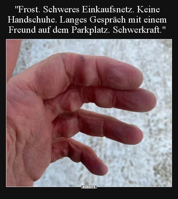 "Frost. Schweres Einkaufsnetz. Keine Handschuhe. Langes.." - Lustige Bilder | DEBESTE.de