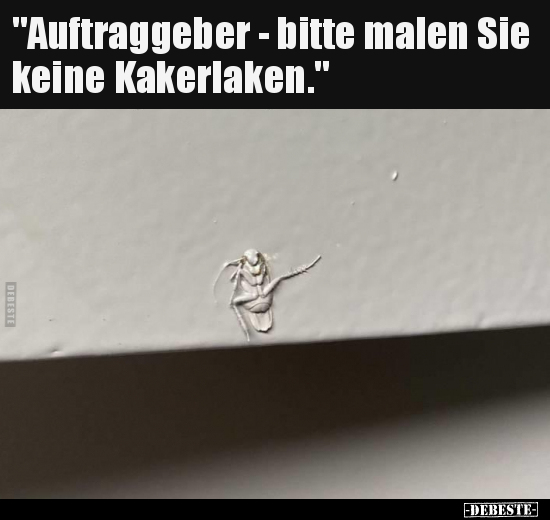 "Auftraggeber - bitte malen Sie keine Kakerlaken.".. - Lustige Bilder | DEBESTE.de