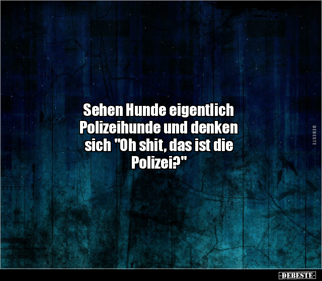 Sehen Hunde eigentlich Polizeihunde und denken sich.. - Lustige Bilder | DEBESTE.de