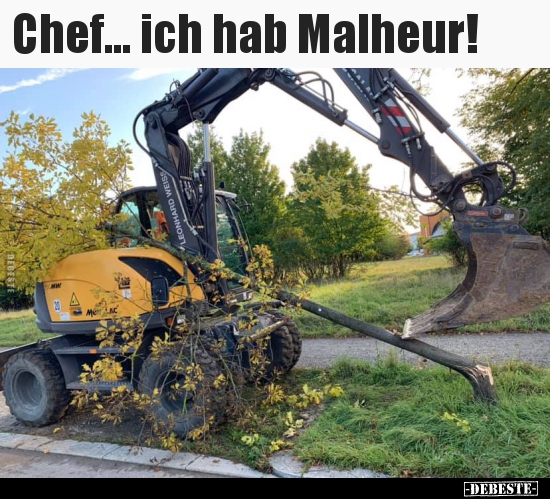 Chef... ich hab Malheur!.. - Lustige Bilder | DEBESTE.de