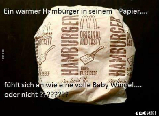 Ein warmer Hamburger in seinem Papier... fühlt sich an wie.. - Lustige Bilder | DEBESTE.de
