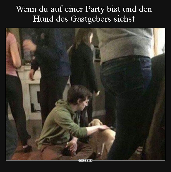 Wenn du auf einer Party bist und den Hund des Gastgebers.. - Lustige Bilder | DEBESTE.de