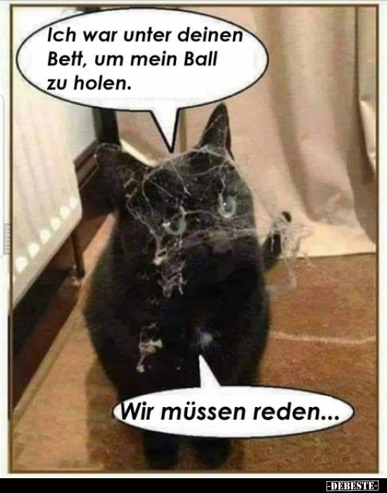 Ich war unter deinen Bett, um mein Ball zu holen.. - Lustige Bilder | DEBESTE.de