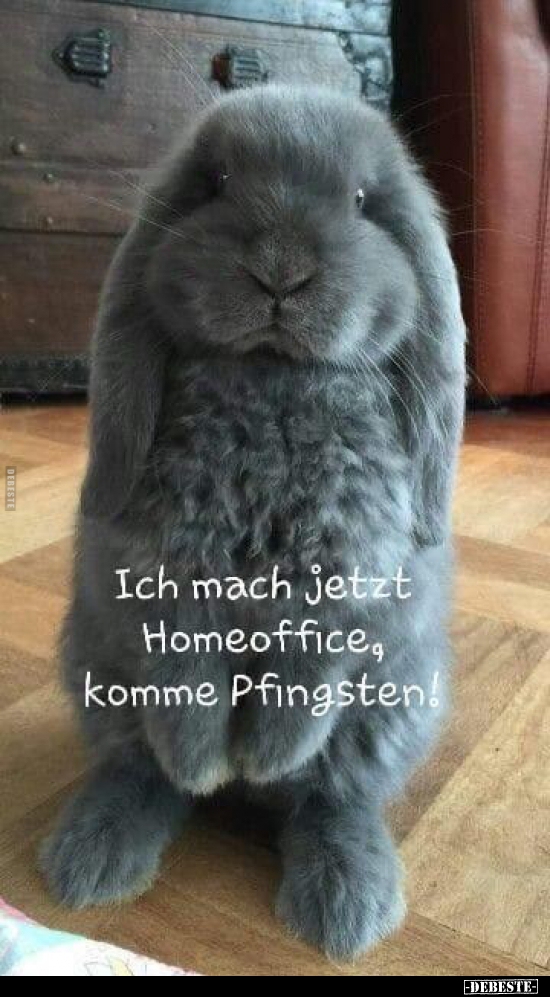 Ich mach jetzt Homeoffice, komme Pfingsten! - Lustige Bilder | DEBESTE.de