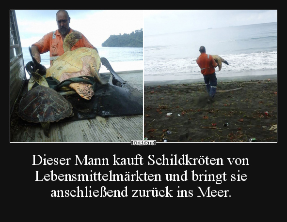 Dieser Mann kauft Schildkröten von Lebensmittelmärkten.. - Lustige Bilder | DEBESTE.de