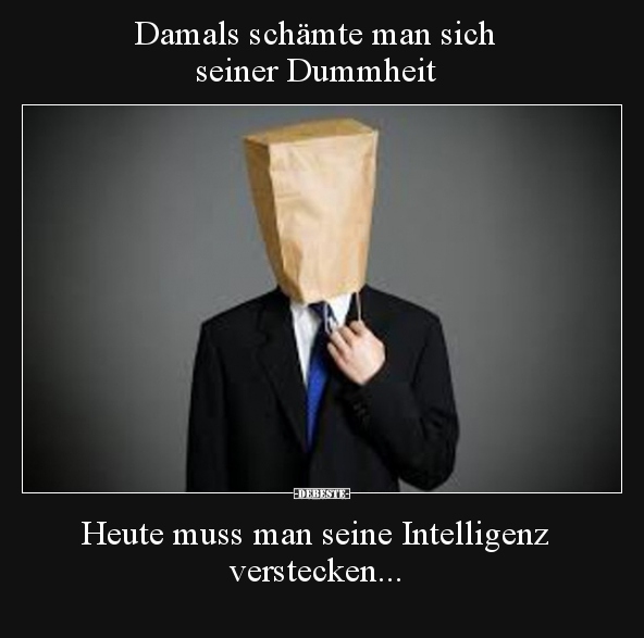 lustige bilder dummheit