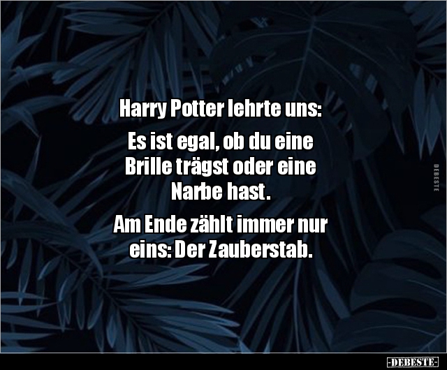 Harry Potter lehrte uns: Es ist egal, ob du eine.. - Lustige Bilder | DEBESTE.de