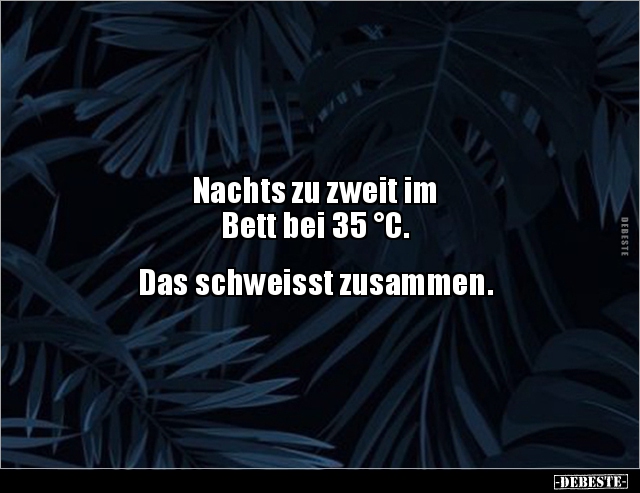 Nachts zu zweit im Bett bei 35 °C... - Lustige Bilder | DEBESTE.de