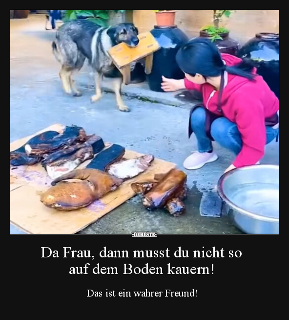 Da Frau, dann musst du nicht so auf dem Boden kauern!... - Lustige Bilder | DEBESTE.de