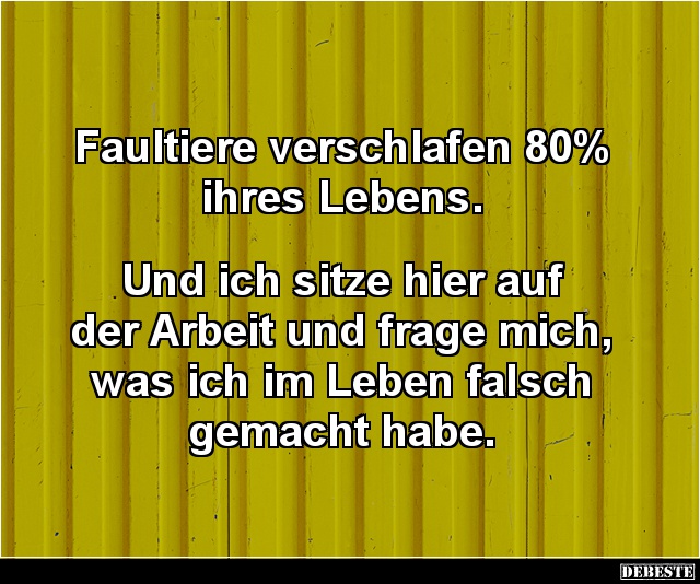 Faultiere verschlafen 80% ihres Lebens.. - Lustige Bilder | DEBESTE.de