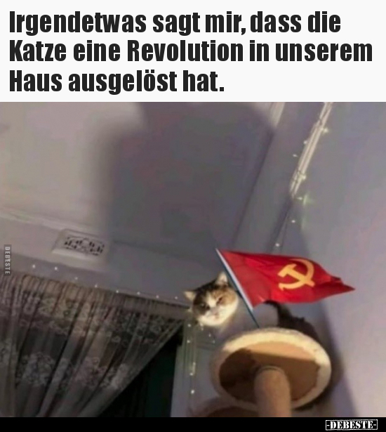 Irgendetwas sagt mir, dass die Katze eine Revolution in.. - Lustige Bilder | DEBESTE.de