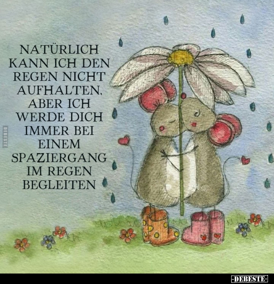 Natürlich kann ich den Regen nicht aufhalten, aber.. - Lustige Bilder | DEBESTE.de