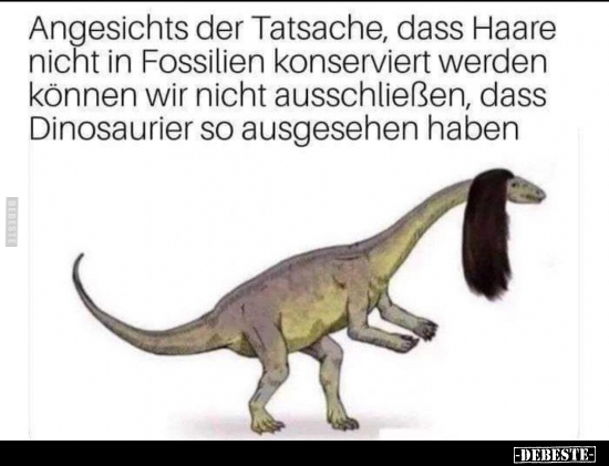 Angesichts der Tatsache, dass Haare nicht in Fossilien.. - Lustige Bilder | DEBESTE.de