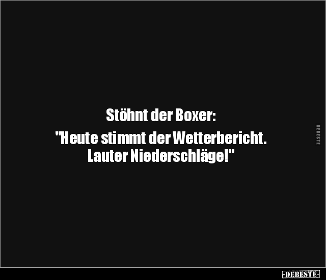 Stöhnt der Boxer: "Heute stimmt der Wetterbericht..." - Lustige Bilder | DEBESTE.de
