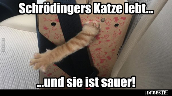 Schrödingers Katze lebt... ...und sie ist sauer!.. - Lustige Bilder | DEBESTE.de