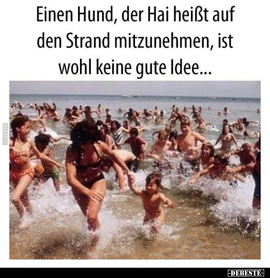 Einen Hund, der Hai heißt auf den Strand mitzunehmen.. - Lustige Bilder | DEBESTE.de