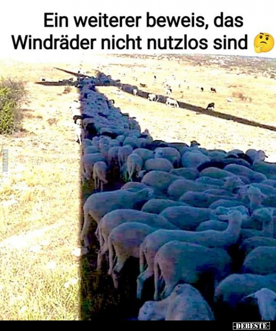 Ein weiterer beweis, das Windräder nicht nutzlos sind.. - Lustige Bilder | DEBESTE.de