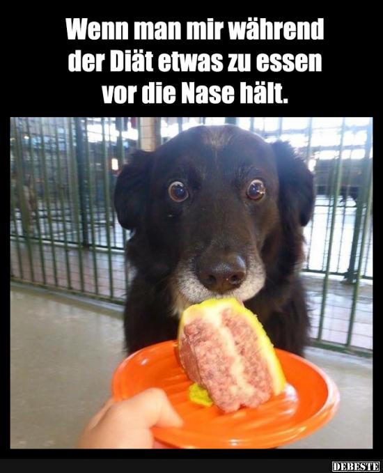 Wenn man mir während der Diät etwas zu essen vor die Nase hält.. - Lustige Bilder | DEBESTE.de