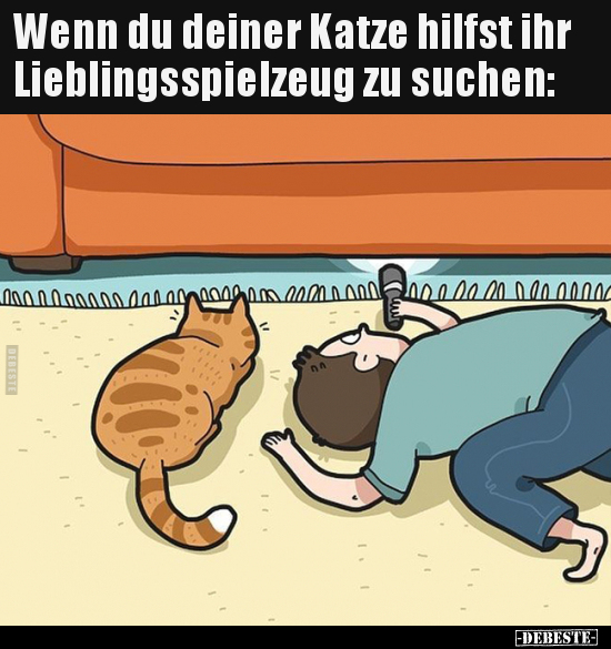 Wenn du deiner Katze hilfst ihr Lieblingsspielzeug zu.. - Lustige Bilder | DEBESTE.de