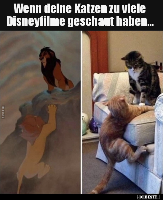Wenn deine Katzen zu viele Disneyfilme geschaut.. - Lustige Bilder | DEBESTE.de