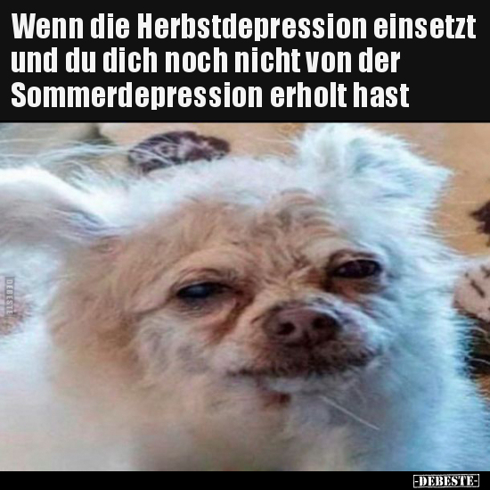 Wenn die Herbstdepression einsetzt und du dich noch nicht.. - Lustige Bilder | DEBESTE.de