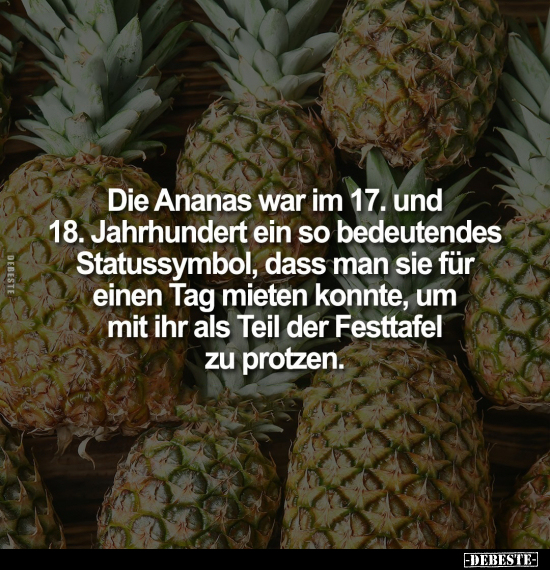 Die Ananas war im 17. und 18. Jahrhundert ein so.. - Lustige Bilder | DEBESTE.de