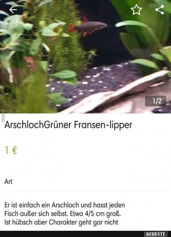 Arschloch Grüner Fransen-lipper.. - Lustige Bilder | DEBESTE.de