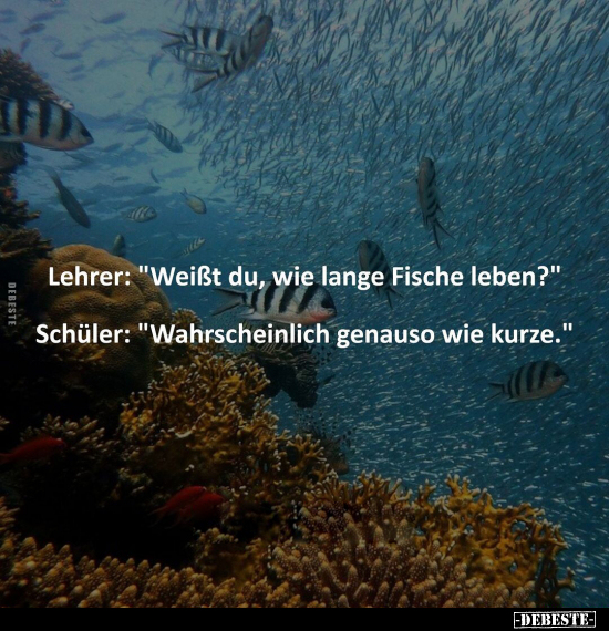 Lehrer: "Weißt du, wie lange Fische leben?"... - Lustige Bilder | DEBESTE.de