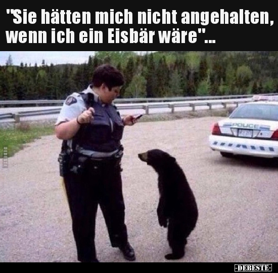 "Sie hätten mich nicht angehalten, wenn ich ein Eisbär.." - Lustige Bilder | DEBESTE.de