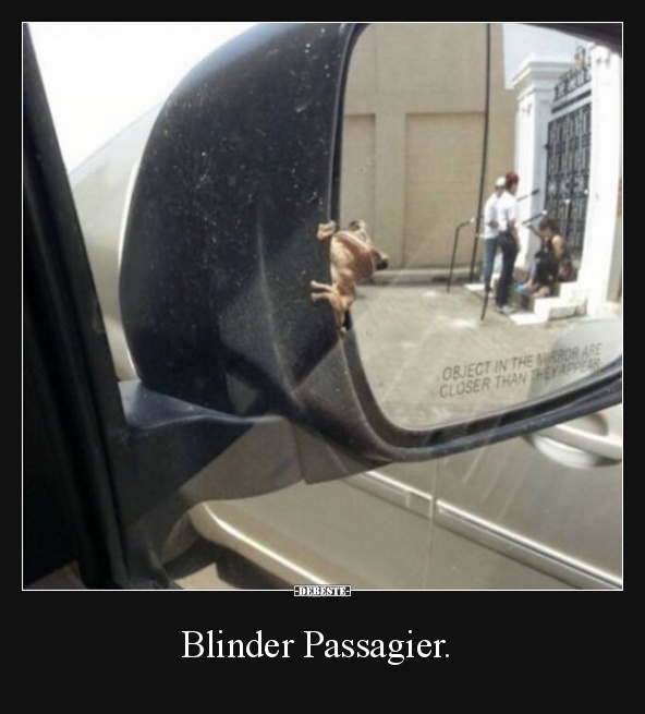 Blinder Passagier. - Lustige Bilder | DEBESTE.de