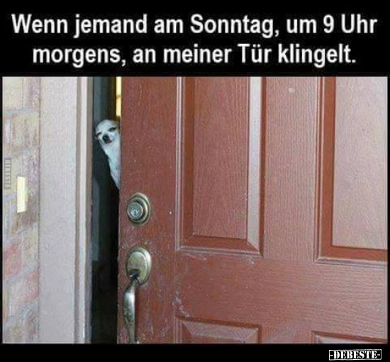 Wenn jemand am Sonntag, um 9 Uhr morgens, an meiner Tür.. - Lustige Bilder | DEBESTE.de