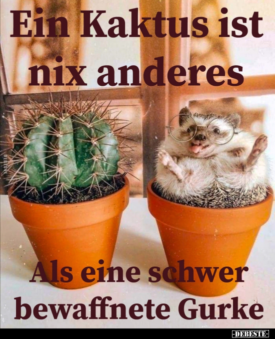 Ein Kaktus ist nix anderes.. - Lustige Bilder | DEBESTE.de