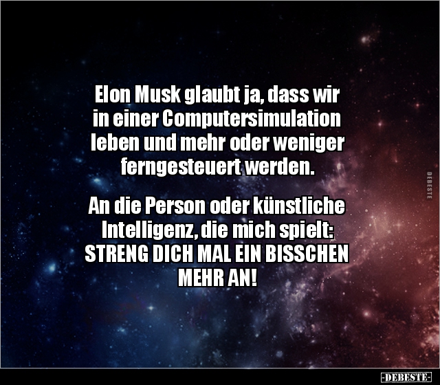 Elon Musk glaubt ja, dass wir in einer Computersimulation.. - Lustige Bilder | DEBESTE.de