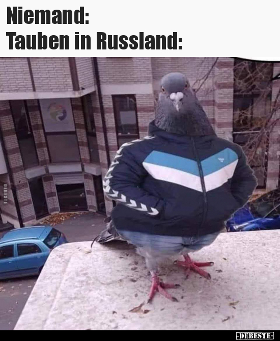Tauben in Russland.. - Lustige Bilder | DEBESTE.de