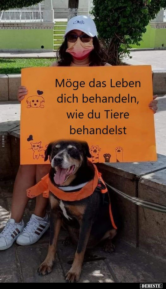 Möge das Leben dich behandeln, wie du Tiere behandelst.. - Lustige Bilder | DEBESTE.de