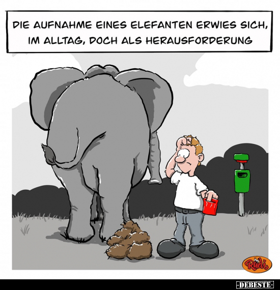 Die Aufnahme eines Elefanten erwies sich, im Alltag.. - Lustige Bilder | DEBESTE.de