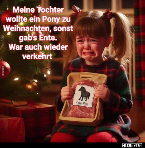 Meine Tochter wollte ein Pony zu Weihnachten.. - Lustige Bilder | DEBESTE.de
