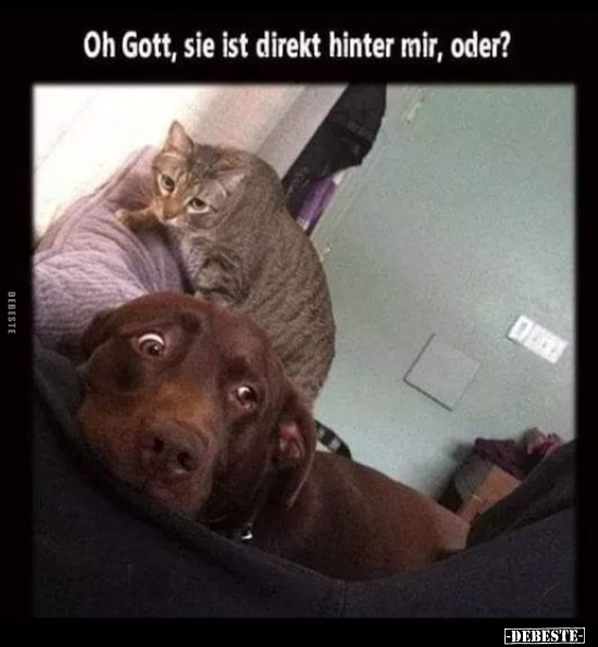 Oh Gott, sie ist direkt hinter mir, oder?.. - Lustige Bilder | DEBESTE.de