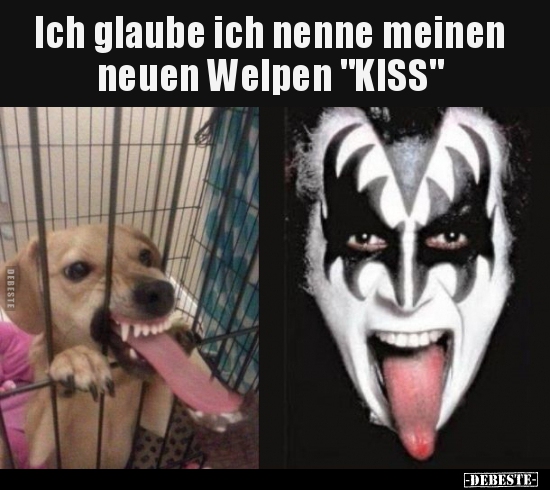 Ich glaube ich nenne meinen neuen Welpen "KISS".. - Lustige Bilder | DEBESTE.de