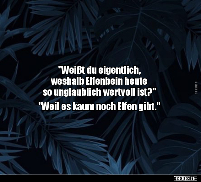 "Weißt du eigentlich, weshalb Elfenbein.." - Lustige Bilder | DEBESTE.de