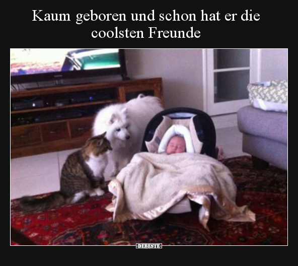 Kaum geboren und schon hat er die coolsten Freunde.. - Lustige Bilder | DEBESTE.de