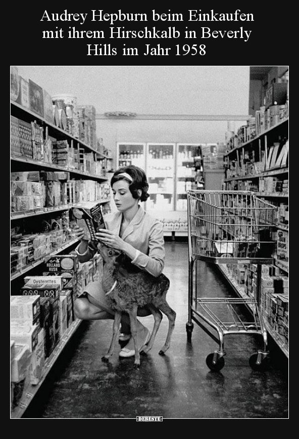 Audrey Hepburn beim Einkaufen mit ihrem Hirschkalb in.. - Lustige Bilder | DEBESTE.de