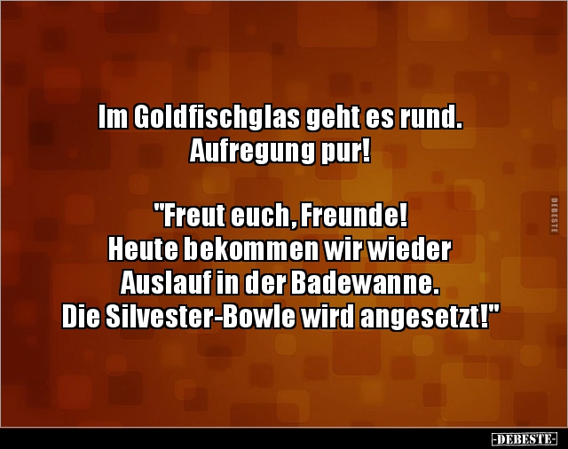 Im Goldfischglas geht es rund. Aufregung pur! "Freut.." - Lustige Bilder | DEBESTE.de