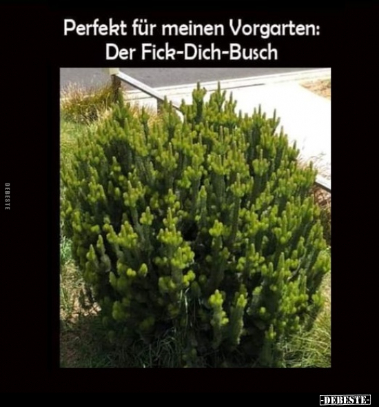 Perfekt für meinen Vorgarten.. - Lustige Bilder | DEBESTE.de