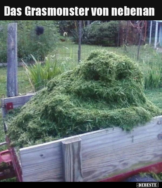 Das Grasmonster von nebenan.. - Lustige Bilder | DEBESTE.de