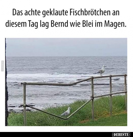 Das achte geklaute Fischbrötchen an diesem Tag.. - Lustige Bilder | DEBESTE.de